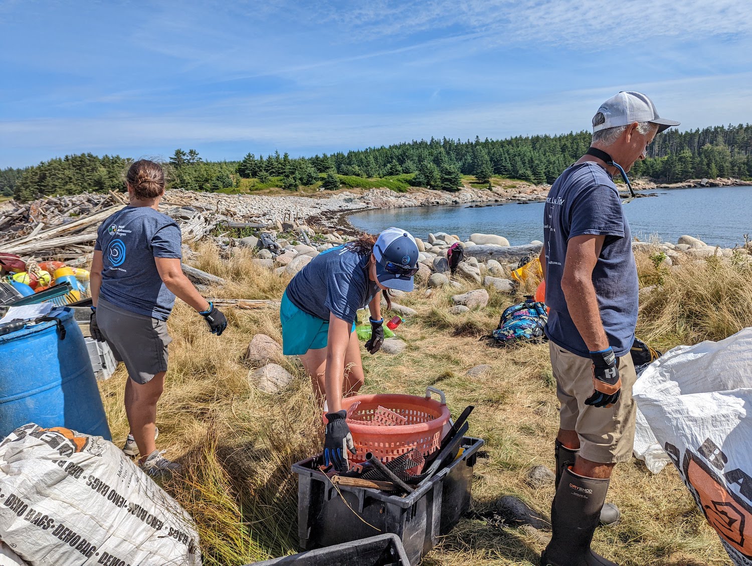 volunteers pick up coastal and marine debris on maine beach